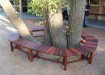 c31-Tree-bench---free-form-2